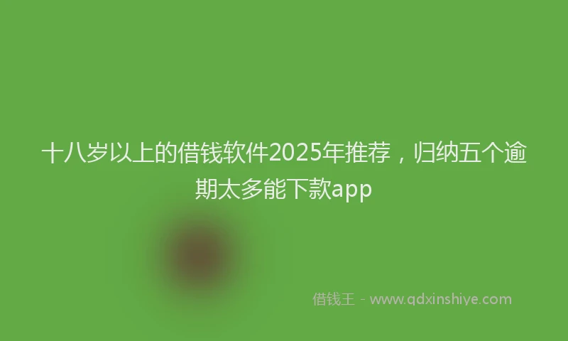 十八岁以上的借钱软件2025年推荐，归纳五个逾期太多能下款app