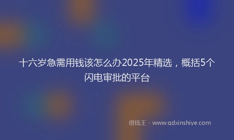 十六岁急需用钱该怎么办2025年精选，概括5个闪电审批的平台