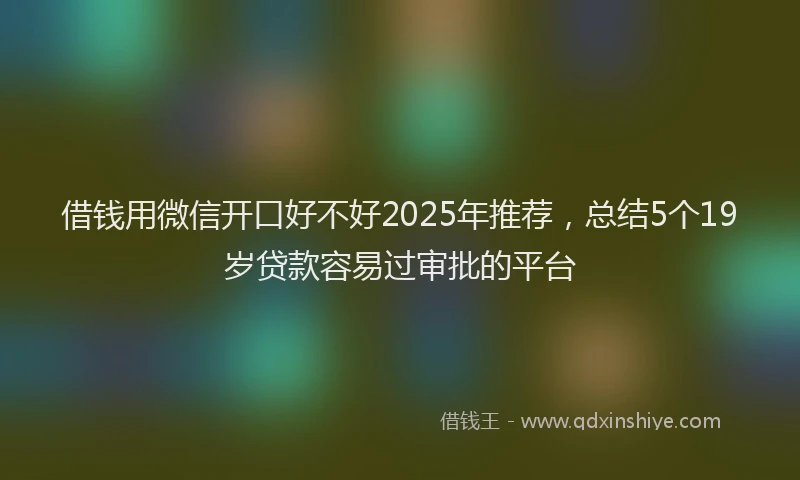借钱用微信开口好不好2025年推荐，总结5个19岁贷款容易过审批的平台