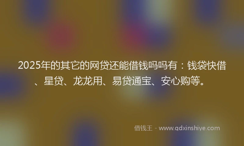 2025年的其它的网贷还能借钱吗吗有：钱袋快借、星贷、龙龙用、易贷通宝、安心购等。