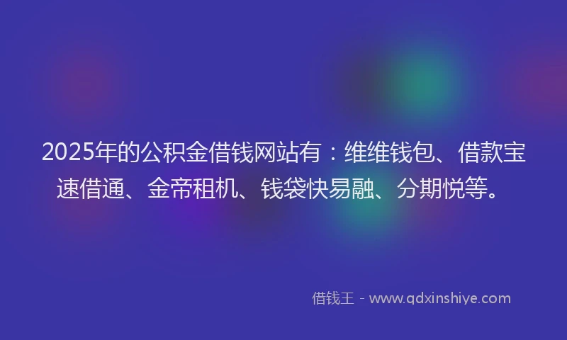 2025年的公积金借钱网站有：维维钱包、借款宝速借通、金帝租机、钱袋快易融、分期悦等。