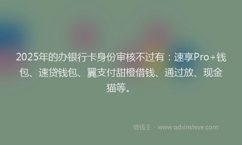 2025年的办银行卡身份审核不过有：速享Pro+钱包、速贷钱包、翼支付甜橙借钱、通过放、现金猫等。