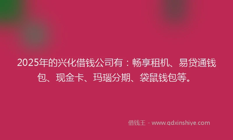 2025年的兴化借钱公司有：畅享租机、易贷通钱包、现金卡、玛瑙分期、袋鼠钱包等。