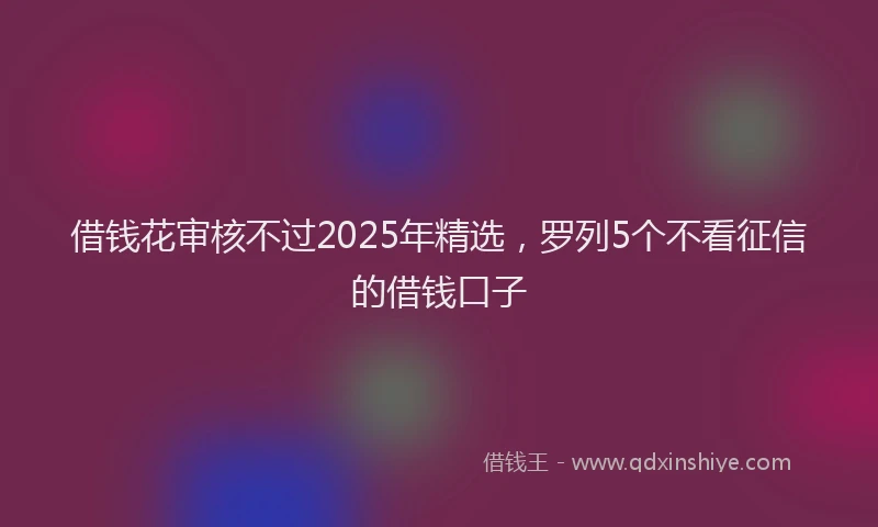 借钱花审核不过2025年精选，罗列5个不看征信的借钱口子