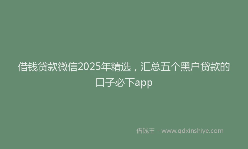 借钱贷款微信2025年精选，汇总五个黑户贷款的口子必下app