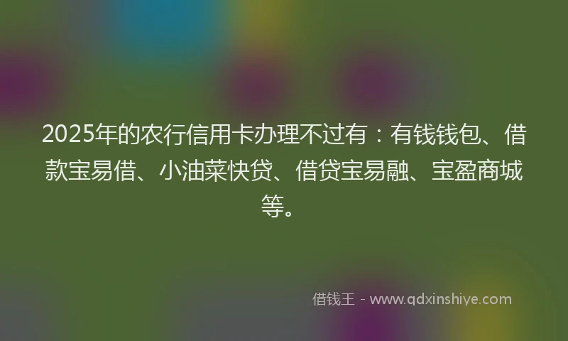2025年的农行信用卡办理不过有：有钱钱包、借款宝易借、小油菜快贷、借贷宝易融、宝盈商城等。