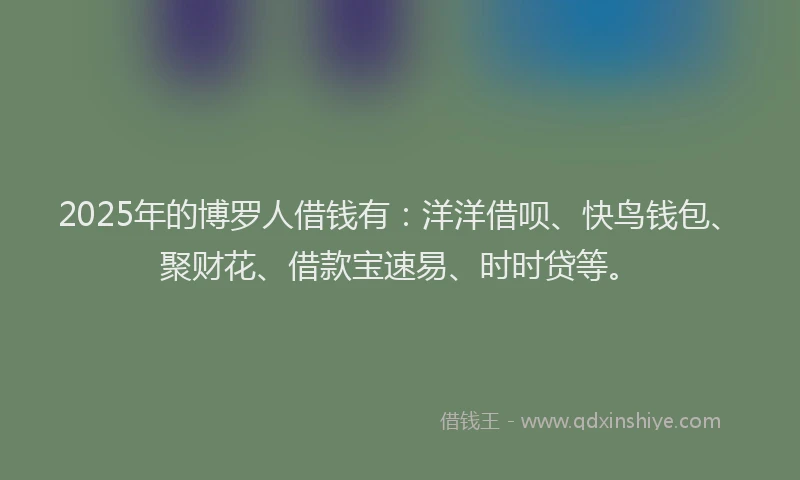 2025年的博罗人借钱有：洋洋借呗、快鸟钱包、聚财花、借款宝速易、时时贷等。