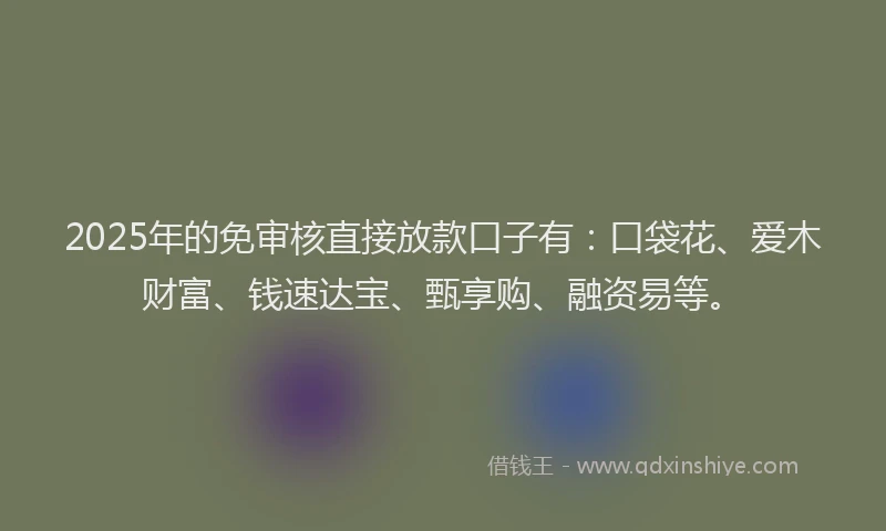 2025年的免审核直接放款口子有：口袋花、爱木财富、钱速达宝、甄享购、融资易等。