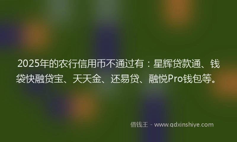 2025年的农行信用币不通过有：星辉贷款通、钱袋快融贷宝、天天金、还易贷、融悦Pro钱包等。