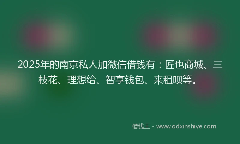 2025年的南京私人加微信借钱有：匠也商城、三枝花、理想给、智享钱包、来租呗等。