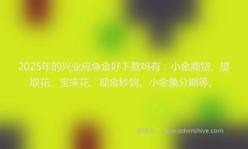 2025年的兴业应急金好下款吗有：小金鹿贷、提取花、宝来花、现金秒到、小金象分期等。