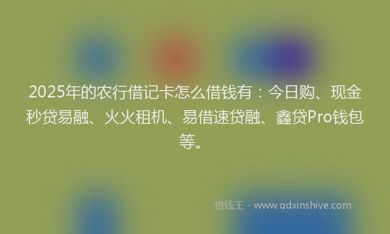 2025年的农行借记卡怎么借钱有：今日购、现金秒贷易融、火火租机、易借速贷融、鑫贷Pro钱包等。