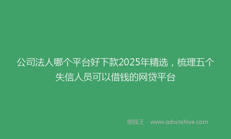 公司法人哪个平台好下款2025年精选，梳理五个失信人员可以借钱的网贷平台