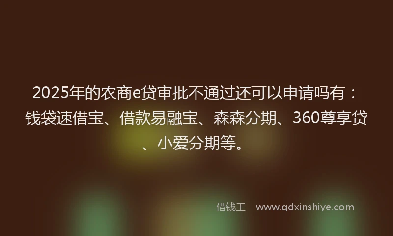 2025年的农商e贷审批不通过还可以申请吗有：钱袋速借宝、借款易融宝、森森分期、360尊享贷、小爱分期等。