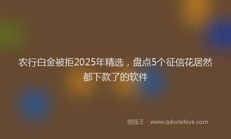 农行白金被拒2025年精选，盘点5个征信花居然都下款了的软件