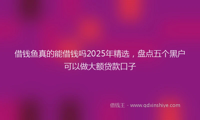 借钱鱼真的能借钱吗2025年精选，盘点五个黑户可以做大额贷款口子
