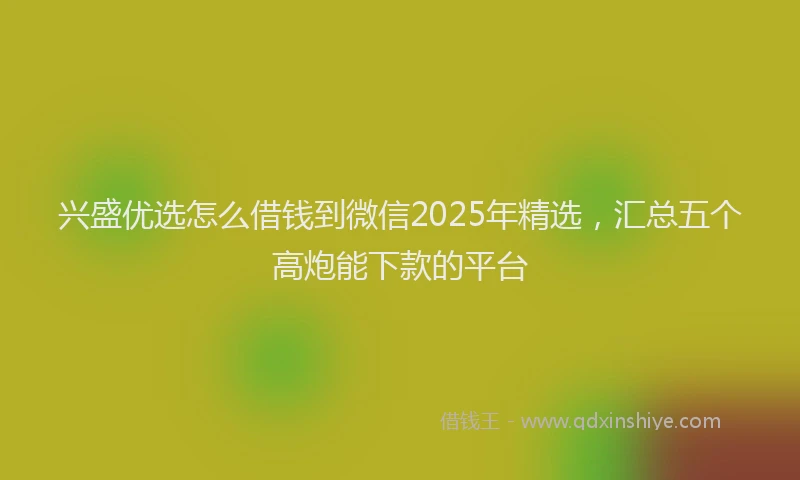 兴盛优选怎么借钱到微信2025年精选，汇总五个高炮能下款的平台