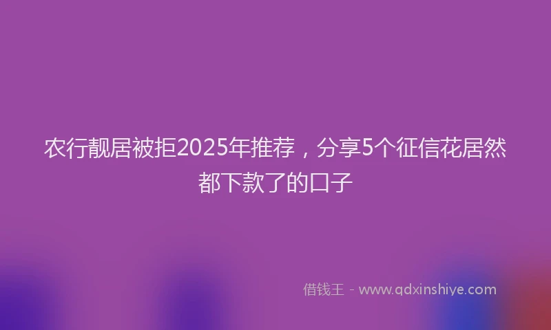 农行靓居被拒2025年推荐，分享5个征信花居然都下款了的口子