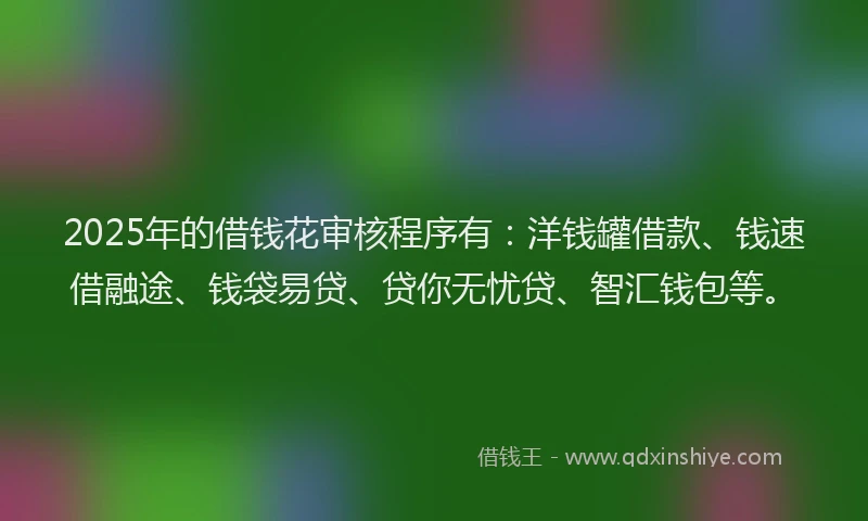 2025年的借钱花审核程序有：洋钱罐借款、钱速借融途、钱袋易贷、贷你无忧贷、智汇钱包等。