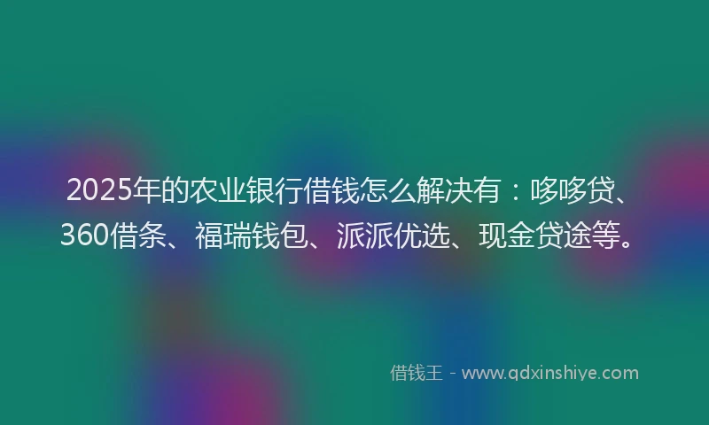 2025年的农业银行借钱怎么解决有：哆哆贷、360借条、福瑞钱包、派派优选、现金贷途等。