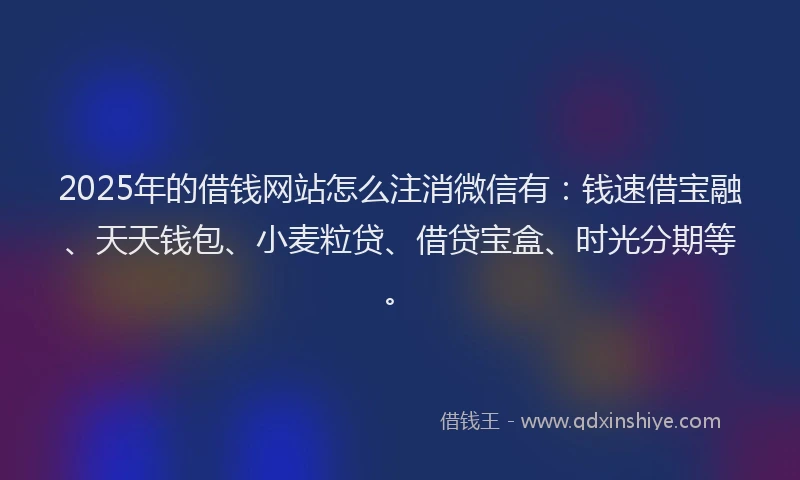 2025年的借钱网站怎么注消微信有：钱速借宝融、天天钱包、小麦粒贷、借贷宝盒、时光分期等。