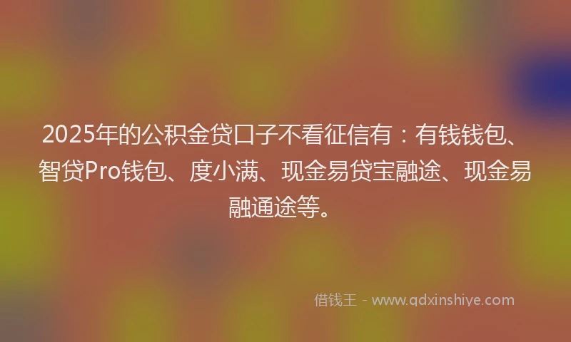 2025年的公积金贷口子不看征信有：有钱钱包、智贷Pro钱包、度小满、现金易贷宝融途、现金易融通途等。