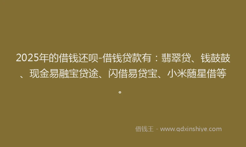 2025年的借钱还呗-借钱贷款有：翡翠贷、钱鼓鼓、现金易融宝贷途、闪借易贷宝、小米随星借等。