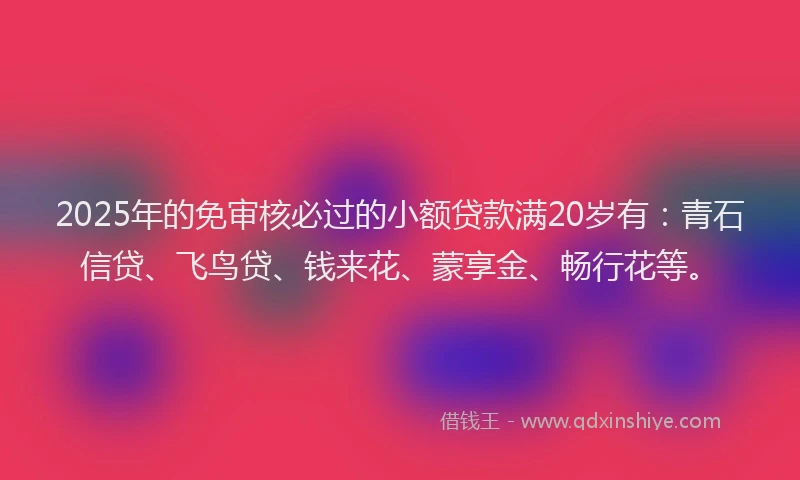 2025年的免审核必过的小额贷款满20岁有：青石信贷、飞鸟贷、钱来花、蒙享金、畅行花等。