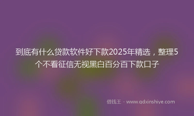 到底有什么贷款软件好下款2025年精选，整理5个不看征信无视黑白百分百下款口子