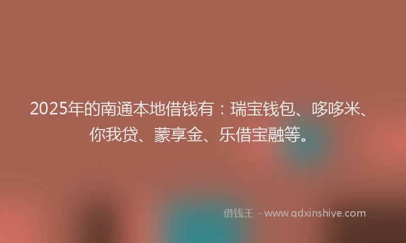 2025年的南通本地借钱有：瑞宝钱包、哆哆米、你我贷、蒙享金、乐借宝融等。
