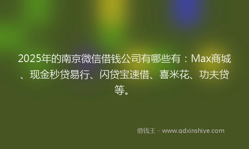 2025年的南京微信借钱公司有哪些有：Max商城、现金秒贷易行、闪贷宝速借、喜米花、功夫贷等。