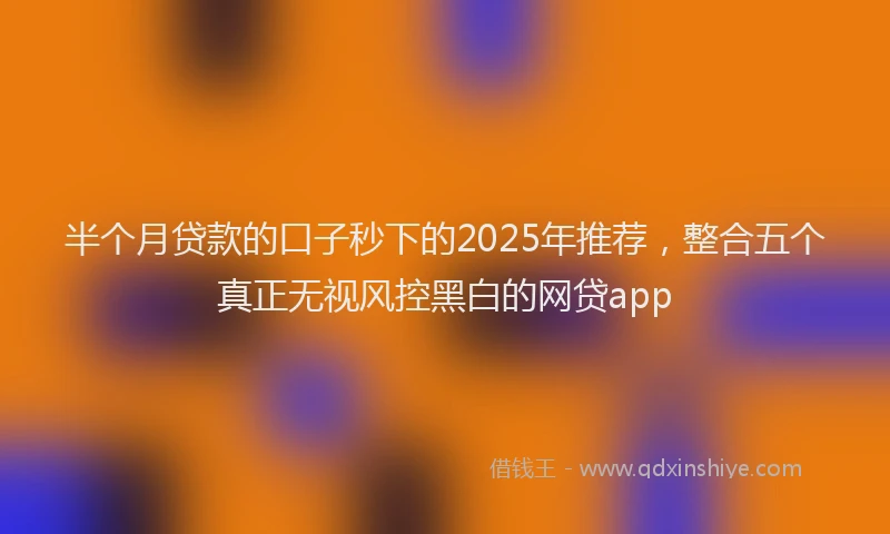 半个月贷款的口子秒下的2025年推荐，整合五个真正无视风控黑白的网贷app