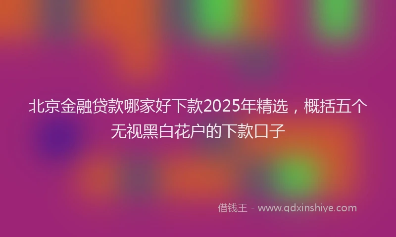 北京金融贷款哪家好下款2025年精选，概括五个无视黑白花户的下款口子