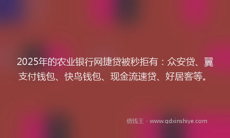 2025年的农业银行网捷贷被秒拒有：众安贷、翼支付钱包、快鸟钱包、现金流速贷、好居客等。