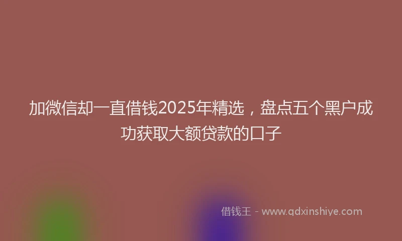 加微信却一直借钱2025年精选，盘点五个黑户成功获取大额贷款的口子