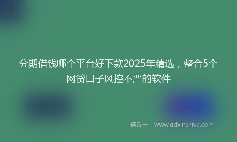 分期借钱哪个平台好下款2025年精选，整合5个网贷口子风控不严的软件