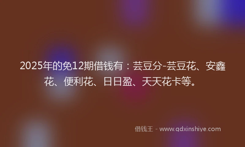 2025年的免12期借钱有：芸豆分-芸豆花、安鑫花、便利花、日日盈、天天花卡等。