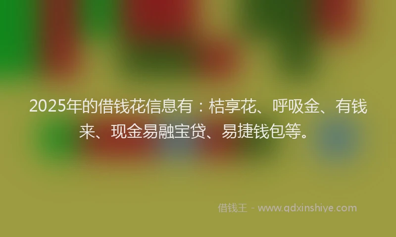 2025年的借钱花信息有：桔享花、呼吸金、有钱来、现金易融宝贷、易捷钱包等。