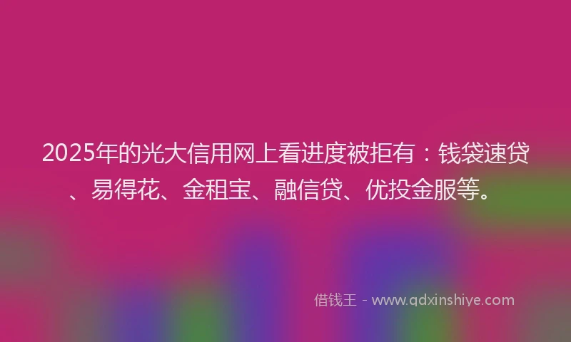 2025年的光大信用网上看进度被拒有：钱袋速贷、易得花、金租宝、融信贷、优投金服等。