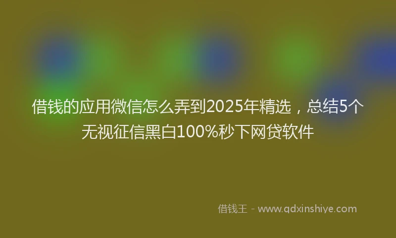 借钱的应用微信怎么弄到2025年精选，总结5个无视征信黑白100%秒下网贷软件