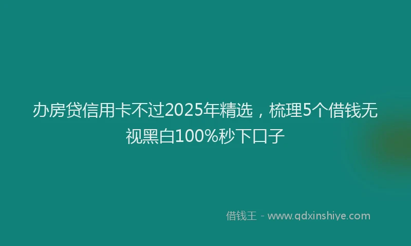 办房贷信用卡不过2025年精选，梳理5个借钱无视黑白100%秒下口子