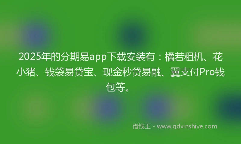 2025年的分期易app下载安装有：橘若租机、花小猪、钱袋易贷宝、现金秒贷易融、翼支付Pro钱包等。