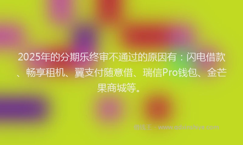 2025年的分期乐终审不通过的原因有：闪电借款、畅享租机、翼支付随意借、瑞信Pro钱包、金芒果商城等。