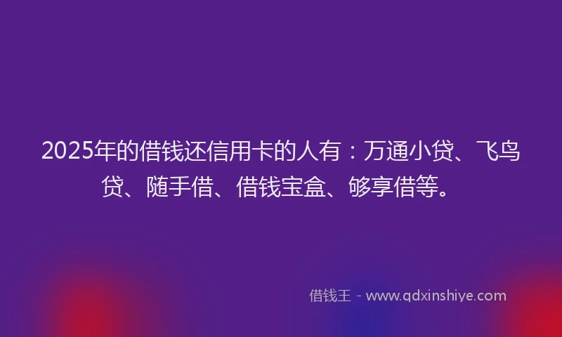 2025年的借钱还信用卡的人有：万通小贷、飞鸟贷、随手借、借钱宝盒、够享借等。