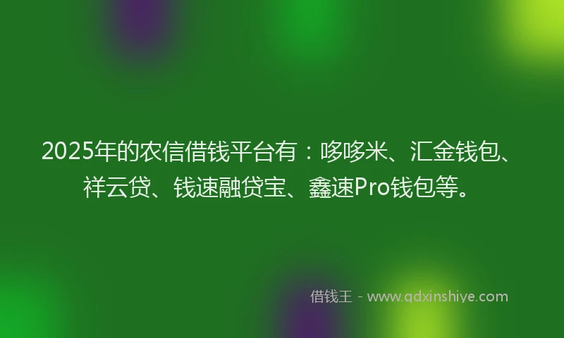 2025年的农信借钱平台有：哆哆米、汇金钱包、祥云贷、钱速融贷宝、鑫速Pro钱包等。