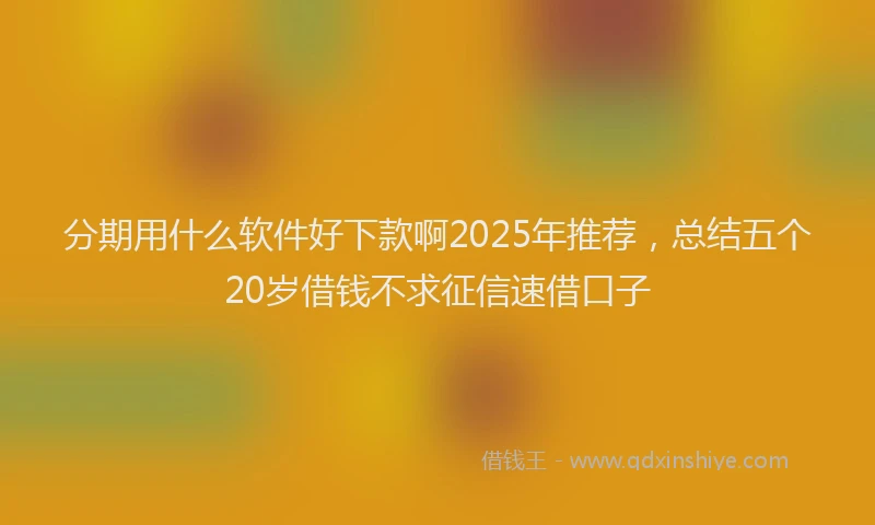 分期用什么软件好下款啊2025年推荐，总结五个20岁借钱不求征信速借口子