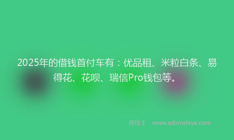 2025年的借钱首付车有：优品租、米粒白条、易得花、花呗、瑞信Pro钱包等。