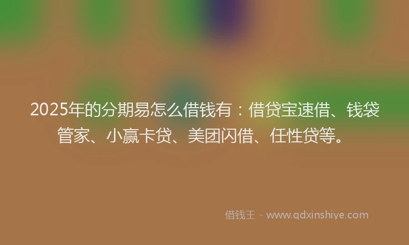 2025年的分期易怎么借钱有：借贷宝速借、钱袋管家、小赢卡贷、美团闪借、任性贷等。