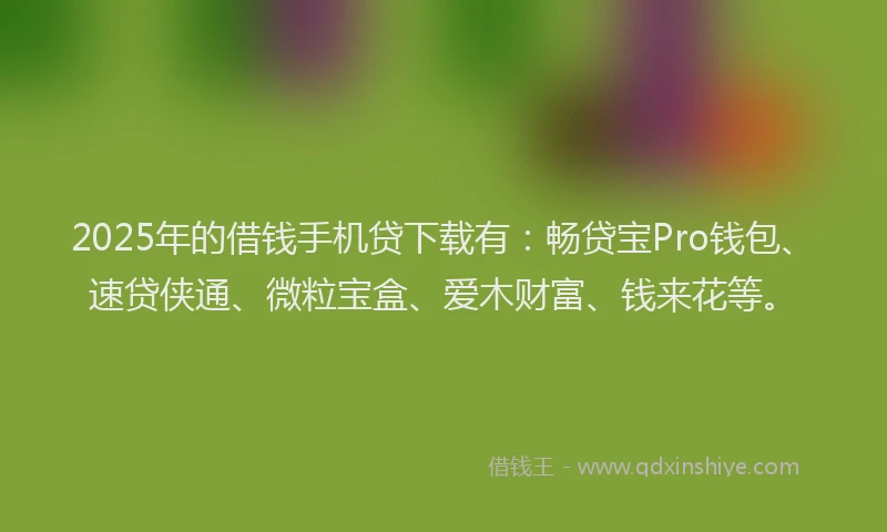 2025年的借钱手机贷下载有：畅贷宝Pro钱包、速贷侠通、微粒宝盒、爱木财富、钱来花等。