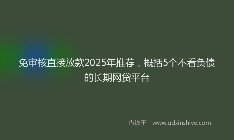 免审核直接放款2025年推荐，概括5个不看负债的长期网贷平台